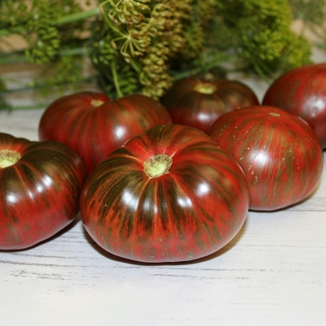 627 Dwarf Mississippi Queen Tomato Seeds | 7.1-8.8 oz Burgundy-Green Striped Fruits, 20-31 in Plants