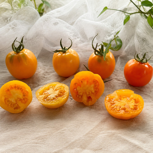 710 Marchensnack Tomato Seeds | Vigorous Indeterminate Orange Pepper-Shaped, 0.71-1.76 oz