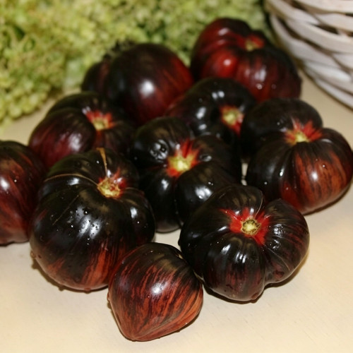 623 Marsha's Starfighter Beefsteak Tomato Seeds | Solanum lycopersicum | 5.3-12.3 oz Mahogany-Red Striped Fruits, Indeterminate