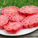 621 Morskaya Zvezda Red Tomato Seeds | Up to 14.1 oz Deeply Ribbed Red Beefsteaks, Indeterminate