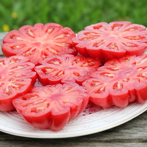 621 Morskaya Zvezda Red Tomato Seeds | Up to 14.1 oz Deeply Ribbed Red Beefsteaks, Indeterminate