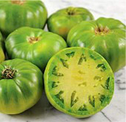 Green Giant Tomato Seeds | Solanum lycopersicum | Large Green Beefsteak Heirloom Tomato, Mild Sweet Flavor