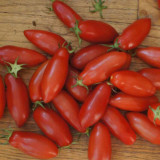 664 Tegucigalpa Tomato Seeds | Red Plum Tomato, 1.4-3.2 oz,  Cluster Bearing