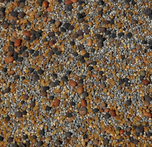 13-Seed No-Till Cover Crop Mix| Clovers, Fenugreek, Vetch, Flax, Peas, Buckwheat | Multi Species No Till Garden Cover Crop Blend