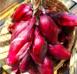 Red Tropea Onion Seeds | Allium cepa | Italian Cipolla Rossa Di Tropea, Sweet Red Onion