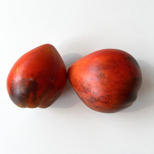 550 Vater Rhein Blue Tomato Seeds | Dark Heart-Shaped Beefsteaks with Anthocyanin Shoulders | 4.2–6.3 oz Fruits