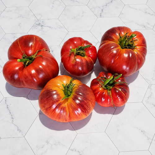 557 Moldovan Kaleidoscope F5 Tomato Seeds | 7.1 oz Bicolor Beefsteaks with Golden Striping and Anthocyanin Shoulders