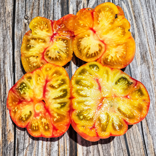 559 Oaxacan Jewel Tomato Seeds | Bicolor Yellow-Orange Beefsteak with Red Marbling