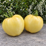 508 Reinhard's White Heart Tomato Seeds | Cream-White Heart-Shaped Slicers