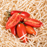 523 Sweet Casady Tomato Seeds | 1.2-2.4 in. Red Plum Cherries with Golden Stripes