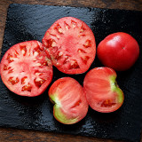 520 Jeff Davis Tomato Seeds | 10.6–17.6 oz Pink Heirloom Beefsteaks