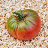 520 Jeff Davis Tomato Seeds | 10.6–17.6 oz Pink Heirloom Beefsteaks