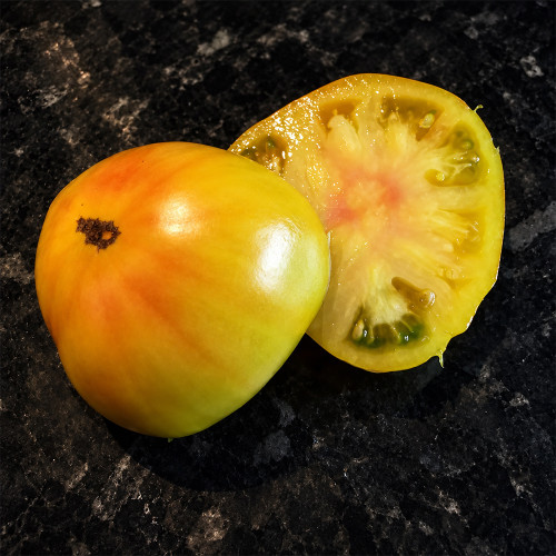 521 Yellow Kite Tomato Seeds | 10.6 oz+ Yellow-Pink Bicolor Beefsteaks