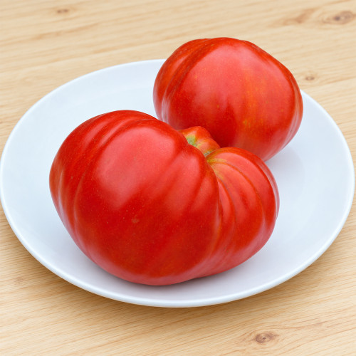 481 Jarson 8 Tomato Seeds | 7.1–14.1 oz Large Red Heart Tomatoes