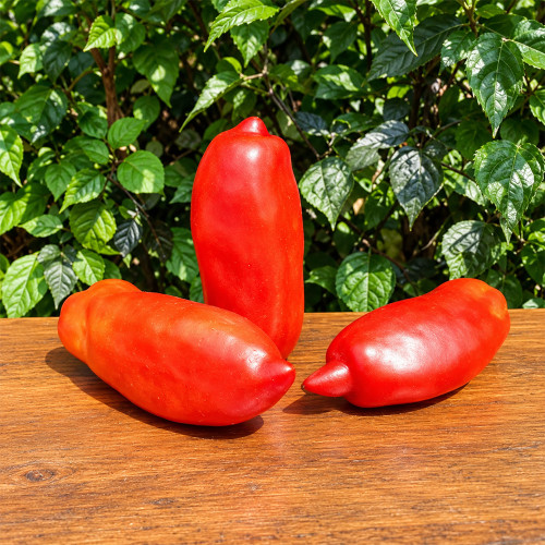 510 Hog Heart Tomato Seeds | Elongated Red Italian Heirloom Paste Tomato