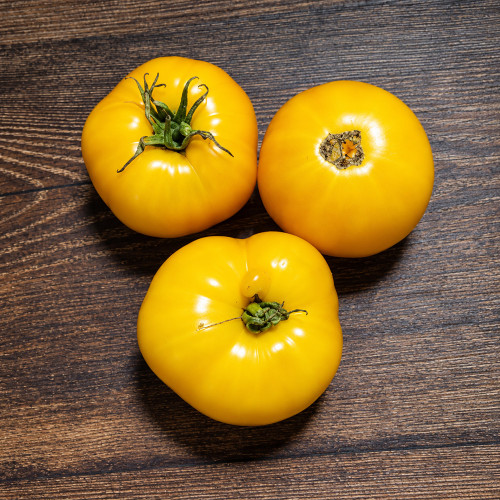 465 Golden Filling Tomato Seeds | 2.8-6.0 oz Hollow Golden-Yellow Stuffing Tomatoes