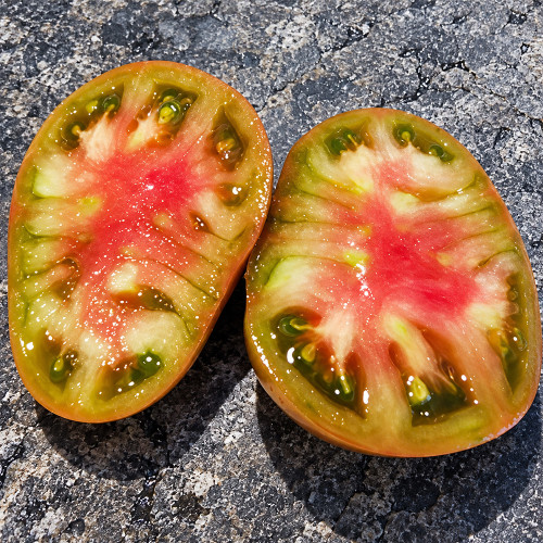 467 Dwarf Grandma's Chocolate Tomato Seeds | Compact Dwarf | 3.5–5.3 oz Chocolate-Russet Beefsteaks