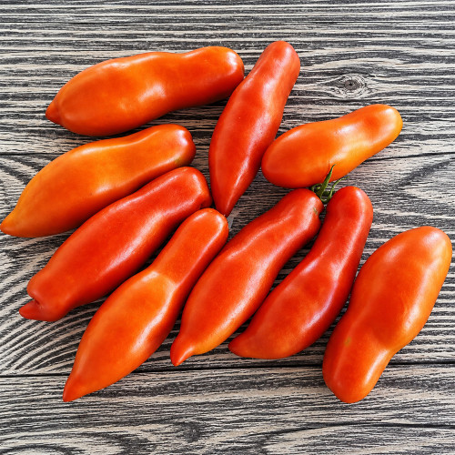 475 Dwarf Strelka Tomato Seeds | Compact High-Yielding Plant | Dense Red Plum Fruits