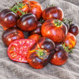 456 Dwarf Striped Antho Tomato Seeds | 2.8-5.3 oz Red-Striped Fruits with Indigo Shoulders