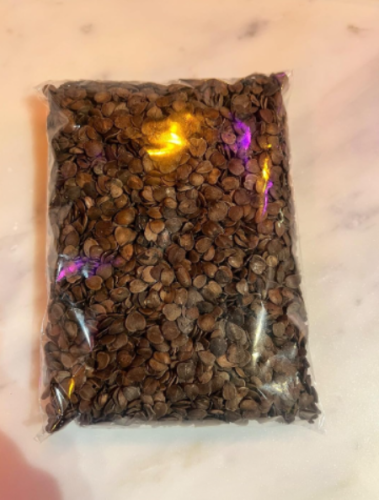 Jicaro (Morro) Seeds | Crescentia alata | For Making Traditional Salvadoran Horchata