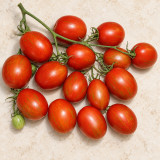 419 Russian Queen Tomato Seeds | 2.1 oz Red-Orange Oval Fruits with Gold Stripes