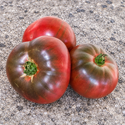 405 Violet Noir Tomato Seeds | 7.1–14.1 oz Purple Beefsteaks with Green Shoulders
