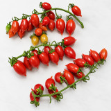 402 Mini San Marzano Tomato Seeds | 0.7–0.9 oz Red Mini Plum Fruits