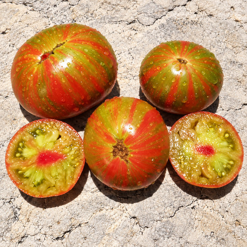 435 Kozula 224 Tomato Seeds | 3.5-8.8 oz Green-and-Rose Striped Tricolor Tomatoes