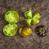 438 Muddy Waters Tomato Seeds | 2.8-4.2 oz Green Fruits with Blue-Black Shoulders