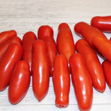 440 Jelly Bean Long Tomato Seeds | 2.1 oz Glossy Red Finger-Shaped Paste Tomatoes