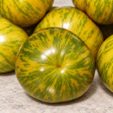 427 Lucinda Tomato Seeds | 2.1-5.6 oz Green-Striped Slicers with Carrot-Leaf Foliage