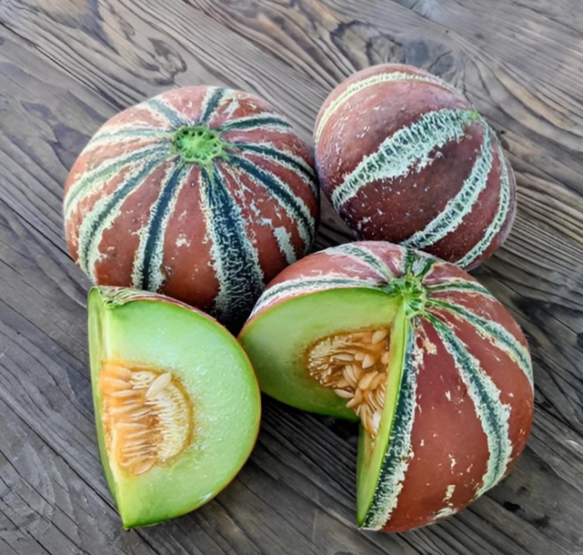 Kajari Melon Seeds | Cucumis melo | Heirloom Striped Sweet Juicy Melon