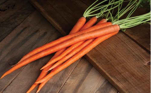 Viper Carrot Seeds | Daucus carota subsp. sativus | Heirloom Skin Garden Carrot