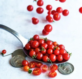 Spoon Tomato Seeds | Solanum lycopersicum | Tiny Sweet Cherry Tomatoes, Heirloom Garden Vegetable