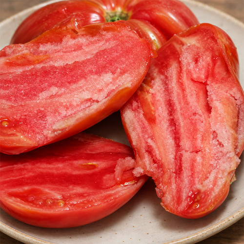 387 Cuore Antico di Acqui Terme Tomato Seeds | 1.5–2 lb Giant Oxheart Paste Tomatoes
