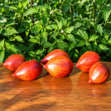 371 Crushed Heart Tomato Seeds | 4.2–6.3 oz Striped Heart Tomatoes