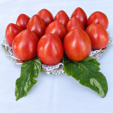 370 Moonlight Mile Pink Tomato Seeds | Variegated Foliage & Striped Mini Hearts