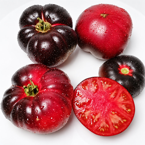 384 Sofia's Purple Apple Tomato Seeds | 7.1–10.6 oz Purple Fruits with Anthocyanin Shoulders