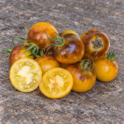 358 Edith Bernhard Tomato Seeds | 2.8–3.5 oz Yellow Tomatoes with Black Shoulders