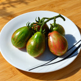 363 Dwarf Maritime Bells Tomato Seeds | 1.4–2.8 oz Purple-Green Pear Tomatoes
