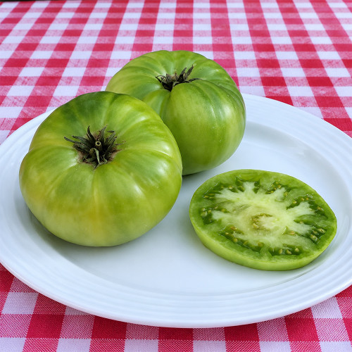 320 Summertime Green Tomato Seeds | Green-When-Ripe Dwarf Slicers up to 10 oz