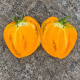 360 Rosalie's Early Orange Tomato Seeds | 8–16 oz Orange Oxhearts