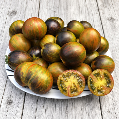 352 Atomic Fusion Tomato Seeds | 1.4–3.2 oz Multicolor Anthocyanin Fruits