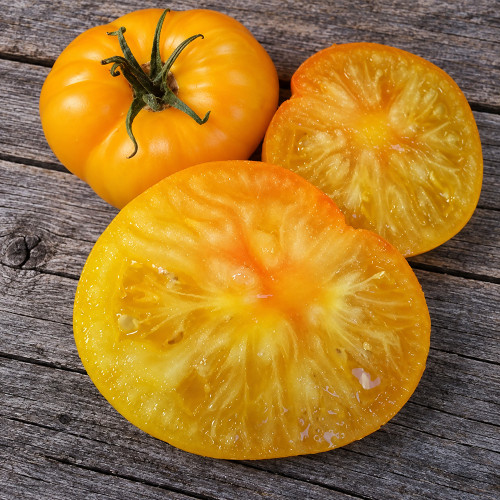 355 Dwarf Jackass Yellow Tomato Seeds | 5.3–10.6 oz Golden Beefsteaks