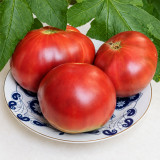 296 Hunk Papa Tomato Seeds | 8.8–17.6 oz Purple-Burgundy Beefsteaks