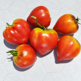 271 Strawberry Sergeant F5 Tomato Seeds | 3.5–10.6 oz Pink Anthocyanin Hearts