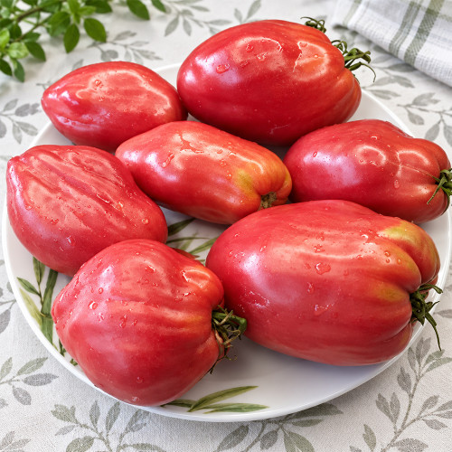 287 Mystery of the Rose Valley Tomato Seeds | 14.1–24.7 oz Raspberry-Pink Ribbed Beefsteaks