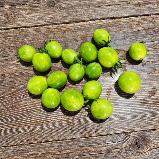 330 Emerald Stream Tomato Seeds | Green-Striped Amber Cocktail Fruits