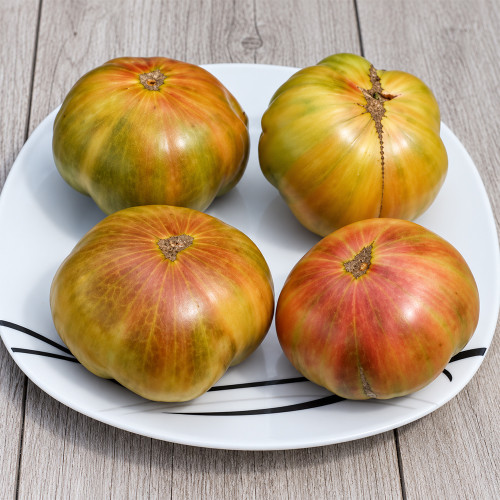 284 Quapaw Green Tomato Seeds | 10.6–17.6 oz Green-When-Ripe Beefsteaks