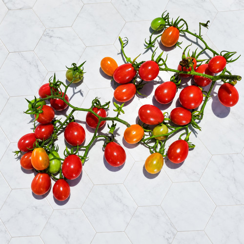 246 Dwarf Basel Viper Tomato Seeds | 0.35–0.9 oz Sweet Red Grape Tomatoes